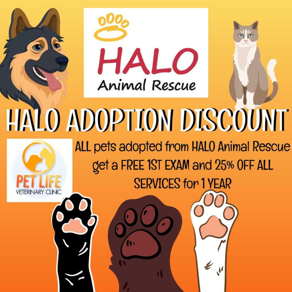 Flyer for HALO Animal Rescue with a dog, a cat, and three raised animal paws. Text offers a free first exam and 25% off all services for one year at Pet Life Veterinary Clinic for adopted pets.